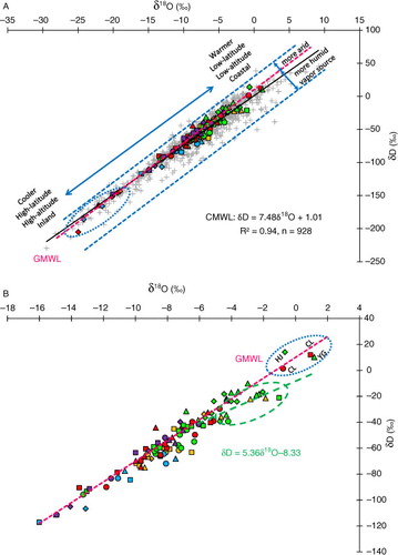 Fig. 4 Linear δD–δ18O relationships (CMWL) based on all the CHNIP precipitation measurements from 2005 to 2010 (grey crosses). Seasonal amount weighted δ-values (triangle–spring, circle–summer, rectangle–autumn and diamond–winter) of different regions (blue–NE, yellow–NC, green–SC, red–NW and purple–TP) are also given for reference. The arrows indicate potential vapour source conditions (McGuire and McDonnell, Citation2007).