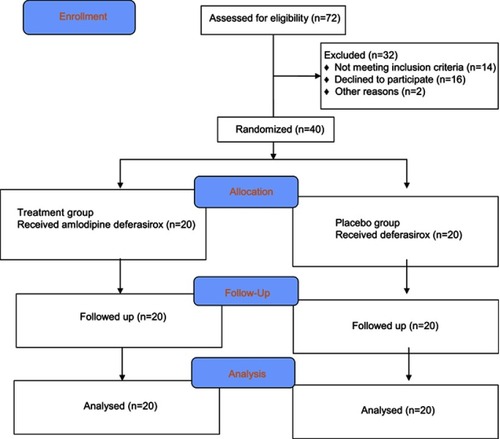 Figure 1 Consort diagram detailing the study subjects.