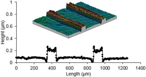 Figure 2. (colour online) Surface topographies of an azobenzene-modified homeotropic LCN coating during exposure through a line mask with a periodic pitch of 450 µm and an opening of 100 µm. The surface of the coating is analysed by interference microscope and displayed in 3D view and in cross-sectional view.