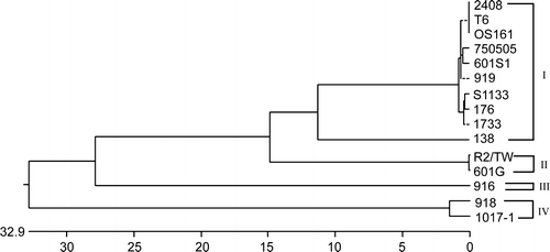 Figure 6. A phylogenetic tree based on nucleotide sequences of the σC-encoding gene (1022 bp). The ARV isolates in each group are indicated on the right-hand side.