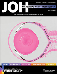 Cover image for Journal of Histotechnology, Volume 45, Issue 4, 2022