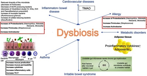 Figure 1 Mechanisms of association between dysbiosis and various diseases.