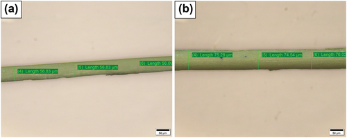 Figure 6. (A-b) Optical Microscope images of TD fiber.