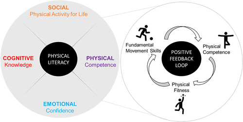 Figure 5. Physical Literacy model with a feed-forward physical domain. Physical literacy is comprised of several components which include the physical, cognitive, emotional, and social domains. Acquiring motor skills results in physical fitness; being more physically fit allows children to learn new skills more easily, creating a powerful feed-forward positive relationship that itself feeds into the physical literacy model, affecting each of the other three domains, respectively.
