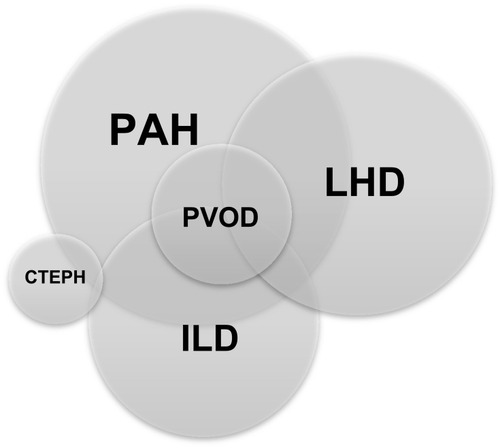 Figure 1 Overlap between different phenotypes of pulmonary hypertension in SSc.