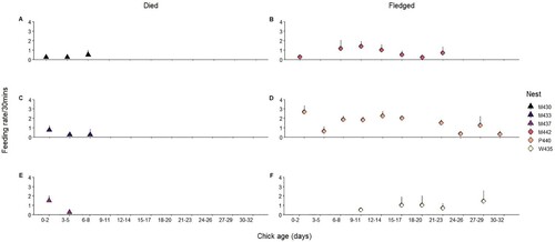 Figure 2. Left column: Nests which had chick(s) that died and did not fledge A, M430, C, M433 and E, M437. Right column: Nests which had chicks that did fledge (chicks surviving >32 days) B, M442, D, P440, F, W435. Y axis: average number of fish brought back to the nest and consumed by the chick (+SE). X axis: age (in days) of the chick, grouped into three-day periods (0–2, 3–5, 6–8, etc.), using the older age of the two chicks if more than one is present in the nest. Feeding rates per chick in the nest are reported to enable comparison of single and two chick nests. Counts were made in continuous observations over a 30 min period. All chicks that shared a nest hatched a day apart. Semi-successful and successful nests (where chick(s) fledged) are represented with a circle. Chicks that died before reaching 10 days old are represented with a triangle. Nest P440 became a solo parent nest when the chick was five days old. Nest W435 had two chicks. Nest M442 had two chicks until the younger of the two died at 17 days old. Nest M433 had two chicks that both died at 7/6 days old. Observations for nest W435 began when the chicks were 12/11 days old until the chicks fledged. Observations for nest M442 ended when the chick was 24 days old, prior to the chick's fledging. Observations for nest P440 were made until fledging. The nests are identified by colour, consistent with Figure 1.