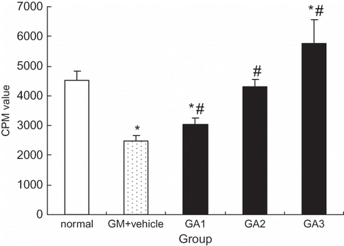 Figure 6. rrALR stimulates mitogenesis in gentamicin-injured HK2 cells. Incubation of HK2 cells with 5.0 mg/ml gentamicin for 24 h resulted in a dramatic reduction in thymidine incorporation (GM+vehicle). In contrast, thymidine incorporation increased significantly in a dose-dependent manner when HK2 cells were incubated with both 5.0 mg/ml gentamicin and 10, 25, or 50 μg/ml rrALR (GA1, GA2, and GA3, respectively). DNA synthesis was assessed by thymidine incorporation, and the results are expressed as CPM. Data represent the mean ± SEM. *p < 0.05 vs. the normal group; #p < 0.05 vs. the GM+vehicle group.