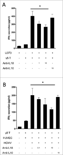 Figure 5. IL-18 produced by cancer cells and HCMV-infected cells contributes to IFNγ production by human Vδ2neg γδ T cells in co-culture. (A) U373MG cancer cells or (B) HUVECs uninfected or infected with HCMV (MOI 10) were cultured for 48 h at 37°C, and then co-cultured with a human Vγ4Vδ5 T-cell clone in the presence or absence of increased concentrations of anti-IL-18 or control anti-IL-10 antibodies. After 24 h at 37 °C, IFNγ secretion was measured by ELISA from cell culture supernatants (mean ± SD; n = 3). ★, P < 0.05.