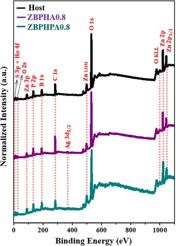 Figure 10. The XPS spectra of the ZBPHA0.8, ZBPHPA0.8 and host (39.5P2O5 – 30B2O3 – 30ZnSO4 – 0.5Ho2O3) samples.