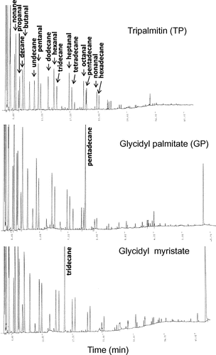 Fig. 4. Gas chromatograms of head space gas from TP, GP, and glycidyl myristate after heating at 200 °C for 2 h.