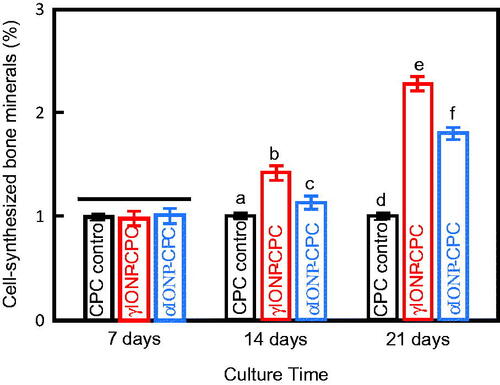 Figure 5. Bone matrix mineral synthesis by hDPSCs on the scaffolds (n = 3). Bars indicated by different letters are significantly different from each other (p < .05).