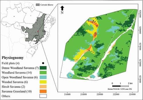 Figure 2. Location of the Ecological Station of Águas Emendadas (ESAE) in the Cerrado biome in Brazil. The 45 sample plots are indicated over the available vegetation map, adapted from GeoLógica/Ecotech (Citation2009) and Jacon et al. (Citation2017). The number of plots (n) per physiognomy is indicated between parentheses