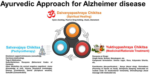 Figure 5 Ayurveda’s approaches to treating AD.