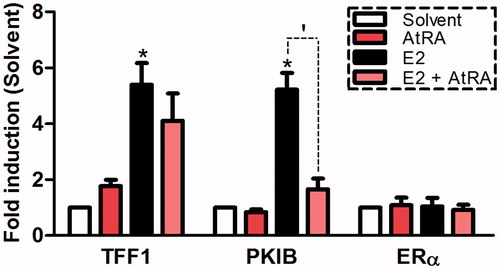 Figure 3. Effects of AtRA (10 μM) and E2 (10 nM) on the transcription of TFF1, PKIB and ERα in the breast cancer cell line MCF7/BUS. Gene expression after 6 h-exposure is expressed relative (fold-induction) to the solvent control (0.2% DMSO) set at 1. Results represent the average ± SEM (n = 3) of three independent experiments. For statistical analysis, Student’s t-tests were carried out. *p < .05 compared to the solvent control. ‘p < .05 compared to the E2-treated sample.
