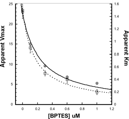 Figure 3.  Determination of the inhibition constant for BPTES. The Ki for BPTES was determined by using KaleidaGraph software to fit the plots of the apparent Vmax (open circles) and the apparent Km (open squares) versus the concentration of BPTES to the equations listed in the Materials and Methods section. The derived Ki values for BPTES were 0.24 µM ± 0.03 and 0.16 µM ± 0.02 calculated from the apparent Vmax and the apparent Km, respectively.