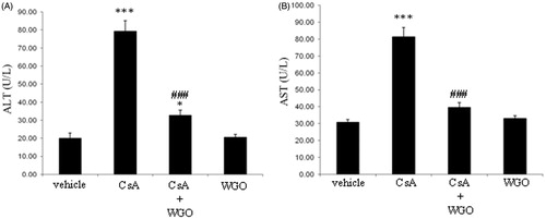 Figure 1. Effects of CsA and/or WGO on serum ALT (A) and AST (B) levels in male Wistar albino rats. Data represent means ± SD (n = 6), *p < 0.05, ***p < 0.001 versus control, ###p < 0.001 versus CsA-alone-treated animals.