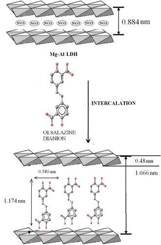 Figure 5. A possible schematic representation for the olsalazine–LDH.