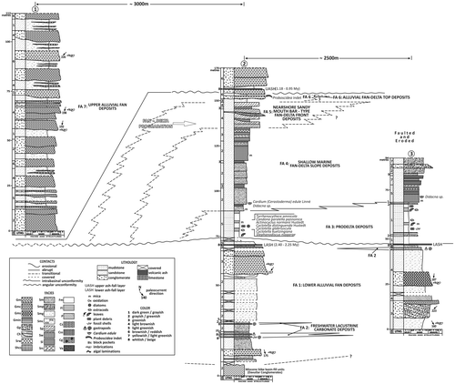 Figure 4. Measured reference stratigraphic sections with descriptive facies assemblages of the Fevzipaşa Formation (see Figure 3 for locations and Tables Table 2. Descriptions and interpretations of sedimentary lithofacies of the Fevzipaşa Formation.Download CSVDisplay Table2 and Table 3. Descriptions and interpretations of FAs of the Fevzipaşa Formation.Download CSVDisplay Table3 for explanation of lithofacies and FAs).