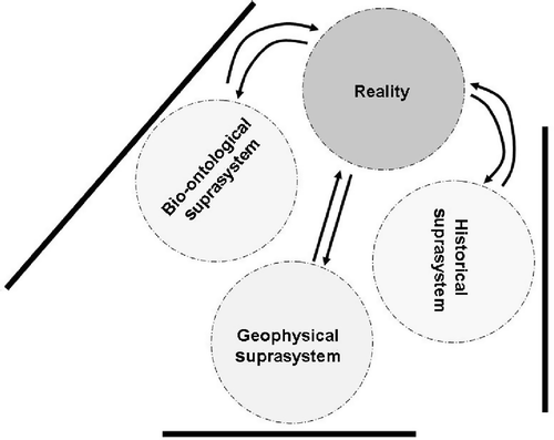Figure 3. Suprasystemic reality.