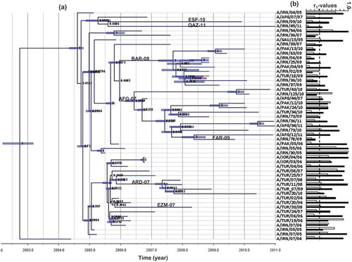Figure 7. (A) Bayesian phylogenetic tree of the A-Iran-05 viruses and (B) respective r1-values against A22/Iraq (white bars) and A/TUR/2006 (black bars) antisera. The sublineages were defined by WRLFMD on the basis of VP1 sequences and are labeled on the respective branches in this figure. The horizontal dotted line indicates the cut-off value of 0.3, above which the vaccine is considered to be a good match. Reproduced from (90) under Creative Commons Attribution License (CC BY).