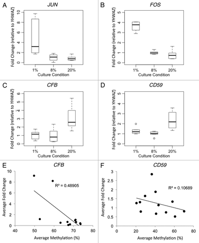 Figure 5. Gene expression and DNA methylation correlation of candidate genes. Gene expression as validated by Realtime RT-PCR was shown for (A) JUN, (B) FOS, (C) CFB and (D) CD59. Since the promoters of JUN and FOS are unmethylated, DNA methylation correlation with gene expression was shown only for (E) CFB and (F) CD59.