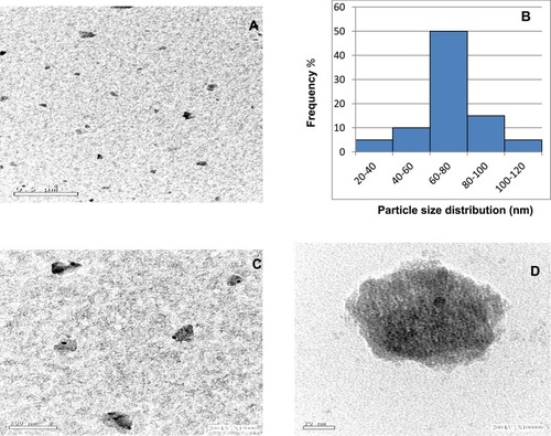 Figure 2 High-resolution transmission electron microscopy images at different magnifications (A: ×5000, C: ×15,000 D: ×100,000) showing the prepared titanium dioxide nanoparticles as spherical shape with an irregular edges. (B) Particle size distribution of it.