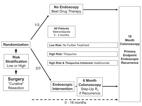 Figure 1. POCER study design.