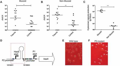 Figure 5. Emergence of hasABC promoter deletion variants during GAS infection in draining inguinal lymph node.