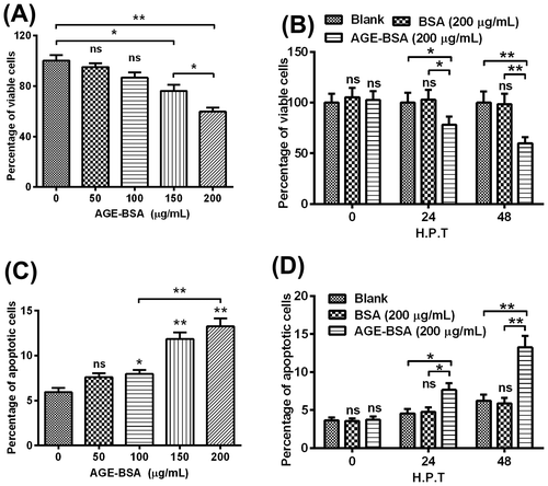 Fig. 1. AGE-BSA reduces the viability and induces apoptosis in human retinal ARPE-19 cells.