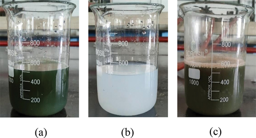 Figure 3. Synthesis of nanoparticles (a) Plant extract (b) Silver nitrate (c) Synthesized AgNPs solution.