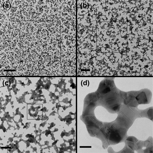 Figure 9. TEM/HRTEM micrographs of cluster-assembled gold films. (a) overall view of the percolating film, scale bar: 250 nm; (b) magnified view of the square reported in panel (a), scale bar: 100 nm; (c) magnified view of the square reported in panel (b), scale bar: 50 nm; (d) HRTEM image of a polycrystalline aggregate surrounded by the square in panel (c), scale bar: 10 nm. From [Citation44]