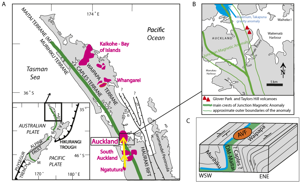 Figure 1 Tectonic setting. A, The Auckland Volcanic Field within northern New Zealand. Intraplate volcanic fields labelled in pink. Inset shows relationship to New Zealand tectonic setting. Green line: Dun Mountain–Maitai terrane (M) with the Dun Mountain Belt that generates the Junction Magnetic Anomaly. B, Gravity and magnetic anomalies of the Auckland area, dominated by the effects of the Dun Mountain Belt. Magnetic anomalies after Eccles et al. (Citation2005). Takapuna gravity anomaly after Williams et al. (Citation2006). C, Schematic block diagram of basement structure and terrane subdivision under the Auckland region (not to scale) after Williams et al. (Citation2006). Blue line marks postulated position of in situ Maitai Group sediments. AVF: Auckland Volcanic Field.