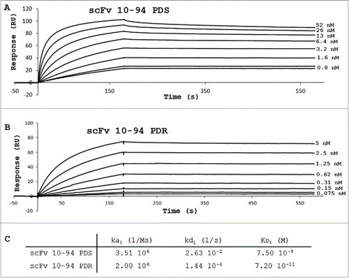 Figure 5. Sensorgrams showing the binding of PpL on immobilized scFv 10-94 PDS (A) or scFv 10-94 PDR (B) and Biacore analyses of kinetic parameters (C).