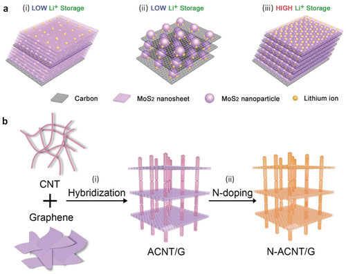 Figure 3. Assemblies of two-dimensional nanomaterials are good anode or cathode candidates for lithium batteries. a) Schematic illustrating the concept of the rational design of MoS2/m-C nanosheet superstructure for creating ideal MoS2/c atomic interfaces to enhance lithium-ion storage. Reproduced with permission [Citation168] 2015, Wiley-VCH. b) Conceptual scheme of the design of N-ACNT/G hybrids with graphene and aligned CNTs as building blocks. (i) Structural hybridization of aligned CNTs and graphene via catalytic growth on bifunctional natural catalysts; (ii) in situ nitrogen doping for moderating chemical modification of the carbon scaffolds. Reproduced with permission [Citation169] 2014, Wiley-vch.