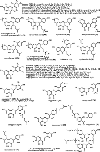 Figure 3. Bioactive flavonoids from Sang-Bai-Pi.