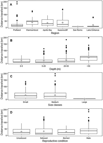 Figure 4. (A–D) Movement patterns of Jasus edwardsii in Victoria by region (A), depth (B) size (C) and sex and reproductive condition (D). Median values are indicated by the horizontal bar; length of the box is the inter-quartile range; whiskers represent quartiles; circles are data points; and diamonds are the mean.