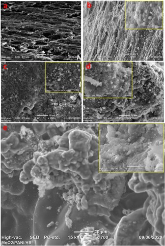 Figure 18. SEM images of (a) bare PGE and the attachment of E. coli cells on (b) PGE, (c) α-MnO2/ PGE, (d) PANI/PGE, and (e) α-MnO2/PANI/PGE anodes.
