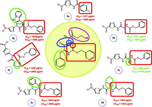 Figure 15. SAR studies of the newly designed targets (3a–g) as SARS-CoV-2 Mpro inhibitors. The red rectangle refers to the H-bond acceptor moiety and the green circle refers to the moiety that fits into the hydrophobic groove.