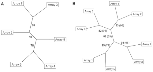 Figure 2 Hierarchical cluster trees of arrays hybridized with cDNA of control (uneven numbers) or microwave-exposed (even numbers) samples. Numbers on the edges indicate bootstrap values. A Clustering of 6 arrays using 10 genes with highest variance in signal intensity. B Clustering of 8 arrays (6 original arrays and 2 arrays hybridized later), bootstrap values from trees with 10 genes are given in bold numbers, those of 20 genes in normal numbers in parentheses.