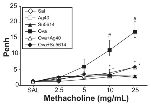 Figure 9 Effect of silver NPs on airway responsiveness to inhaled methacholine in ovalbumin-sensitized and ovalbumin-challenged mice. Airway hyperresponsiveness was measured at 24 hours after the final challenge in saline-inhaled mice administered saline (SAL), saline-inhaled mice administered 40 mg/kg of silver NPs (Ag40) or SU5614 (SU5614), ovalbumin-inhaled mice administered saline (OVA), and ovalbumin-inhaled mice administered 40 mg/kg of silver NPs (OVA+Ag40) or SU5614 (OVA+SU5614).Notes: Penh values were obtained in response to increasing doses (from 2.5 to 25 mg/mL) of methacholine. Bars indicate the mean ± standard error of the mean for eight mice per group in four to six independent experiments. *P < 0.05 versus OVA; #P < 0.05 versus SAL.Abbreviations: NP, nanoparticle; Penh, enhanced pause.