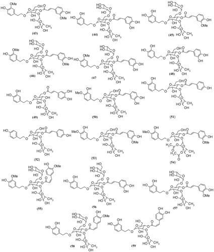 Figure 4. Phenylethanoid glycosides isolated from Scrophularia plants.