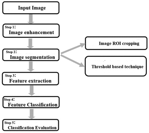 Figure 6. Image ROI mapping.