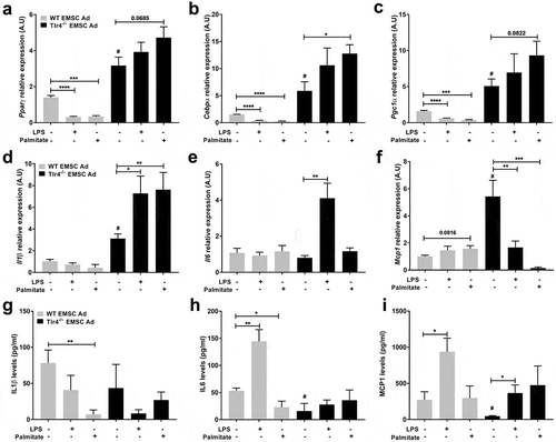 Figure 2. Assessment of adipogenic and inflammatory markers in WT and Tlr4−/- EMSC derived adipocytes. Relative gene expression of adipogenic markers – (a) Pparγ (b) Cebpα (c) Pgc1α. Relative gene expression of inflammatory markers – (d) Il1β (e) Il6 (f) Mcp1. ELISA estimation of (g) IL1β (h) IL6 (i) MCP1. Graph depicts WT (grey bar) and Tlr4−/- (black bar) EMSC Ad treated with LPS and palmitate. N = 5–6 per condition; Experiments were performed in duplicates and data is representative of three independent experiments. One-way ANOVA and Student’s t-test was performed for (a-i). Statistical significance is indicated by *p < 0.05, **p < 0.01, ***p < 0.001, ****p < 0.0001; error bars are SEM. Comparisons of WT Differentiated control vs Tlr4−/- Differentiated control are shown as #p < 0.05. Ad = adipocyte