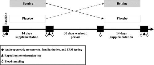 Figure 2. Research time line. 1RM, 1 repetition maximum.