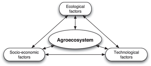 FIGURE 1 The factors influencing the co-evolution of an agroecosystem. (Adapted from CitationGliessman 2007).