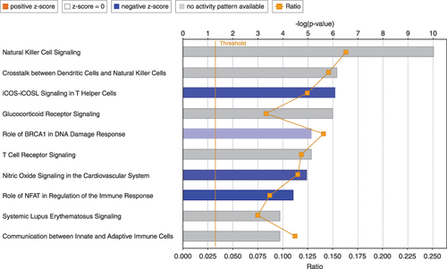 Figure 4 Top 10 pathways among 973 downregulated genes in the PBMCs of patients with COPD using the IPA software. The blue-colored bars indicate predicted pathway inhibition (z-score). White bars represent pathways with a z-score at or close to 0. Gray bars represent those in which no prediction could be made at the time. The Orange points connected by a thin line represent the ratio.