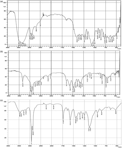 Figure 4. FT-IR spectra of (a) pure mannose, (b) pure stearylamine, and (c) Mn-NLCs.