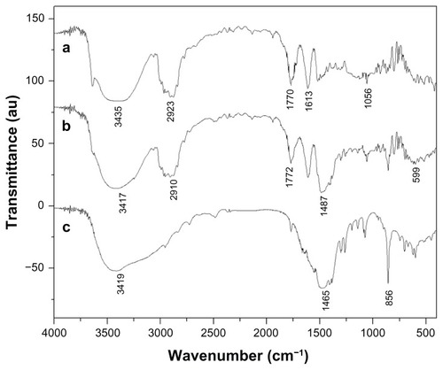 Figure 6 FTIR spectra for (a) free etoposide, (b) ESCNs and (c) SCNs.Abbreviations: FTIR, Fourier transform infrared spectroscopy; ESCNs, etoposide-loaded strontium carbonate nanoparticles; SCNs, strontium carbonate nanoparticles.