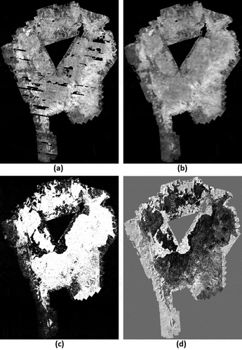 Figure 12. Result of using the method on the Amani area. Grey values are scaled from 0 m (black) to 20 m (white), except for the difference image (d), which is scaled from −20 m (black) to 20 m (white). Areas outside of ALS coverage are set to 0 m. (a) Estimated vegetation height for 2012 from Landsat-7. Actual values range from 0 to 24 m. (b) Estimated vegetation height for 2012 from Landsat time series 1984–2012 with Kalman filtering. Actual values: 0–20 m. (c) ALS nDSM, actual values: 0–60 m. (d) Difference of estimates from Landsat with Kalman filtering and ALS, i.e. (b) minus (c). Actual values: −40 m to +25 m.