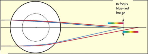 Figure 8. Spherical lens with two concentric zones of which the inner zone has a shorter focal length than the outer zone. The longitudinal chromatic aberration in the images produced by the two zones causes the blue and red images come to focus at the same plane. Source: Land, 2006, reproduced with permission from Current Biology.